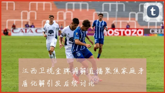 江西卫视金牌调解直播聚焦家庭矛盾化解引发后续讨论