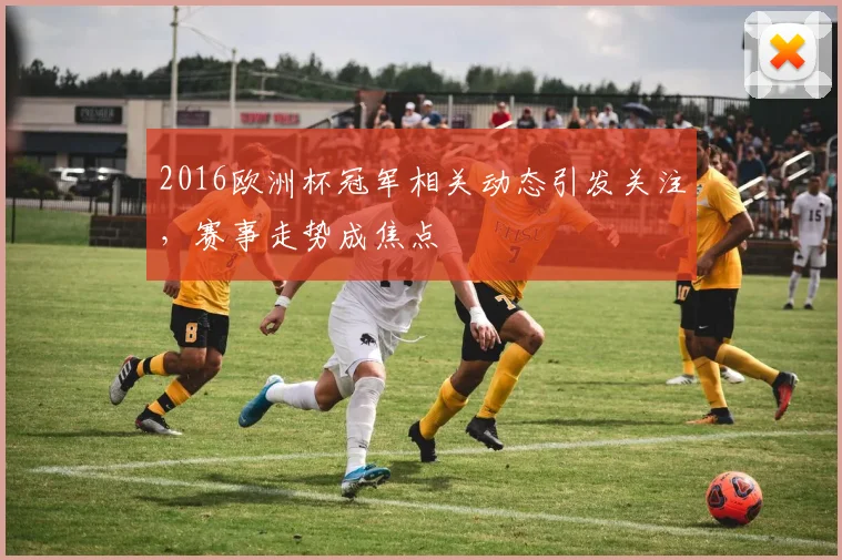 2016欧洲杯冠军相关动态引发关注,赛事走势成焦点