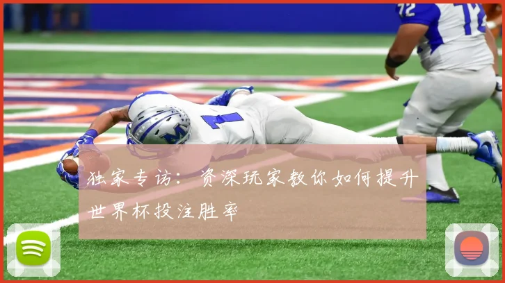 独家专访：资深玩家教你如何提升世界杯投注胜率