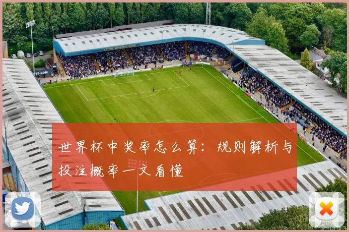 世界杯中奖率怎么算：规则解析与投注概率一文看懂