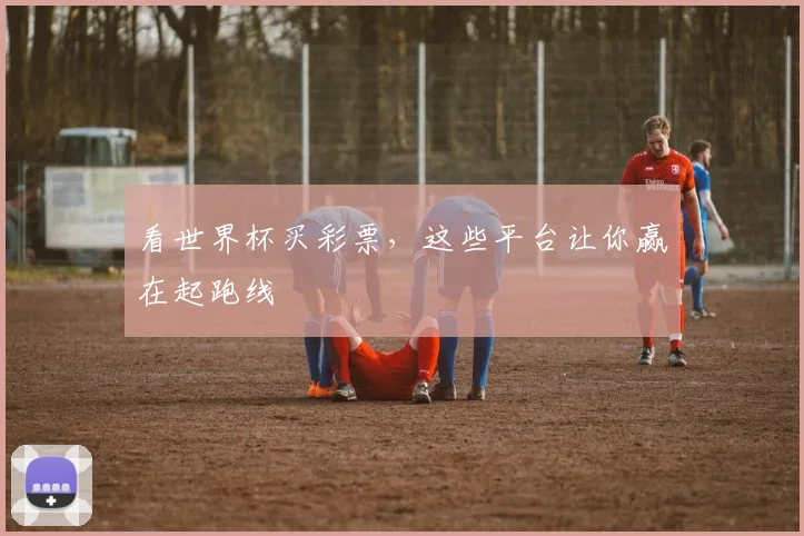 看世界杯买彩票，这些平台让你赢在起跑线