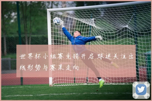 世界杯小组赛竞猜开启 球迷关注出线形势与赛果走向