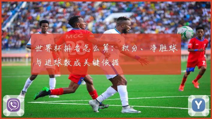 世界杯排名怎么算：积分、净胜球与进球数成关键依据