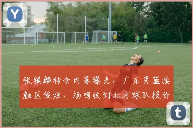 张镇麟转会内幕曝光,广东男篮接触区俊炫,杨鸣收到北方球队报价